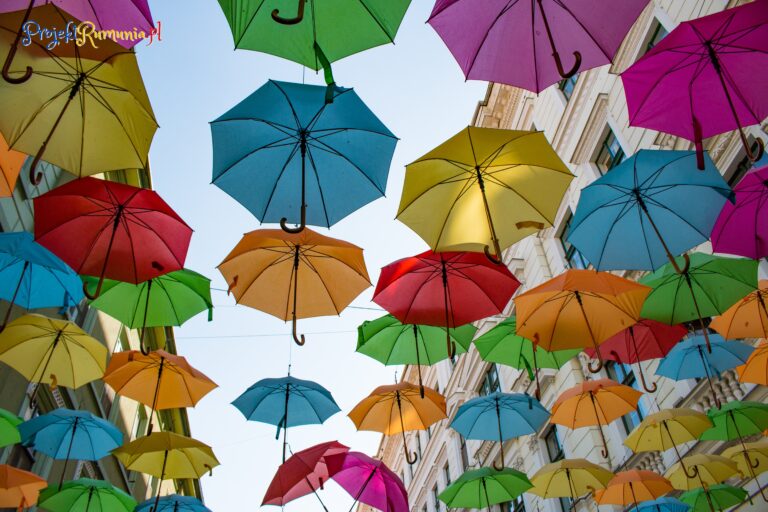 Timisoara parasolki