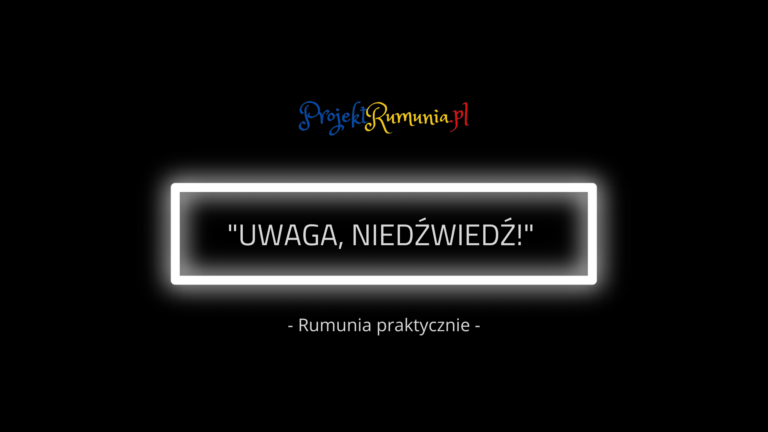 Rumunia Praktycznie: UWAGA, NIEDŹWIEDŹ!